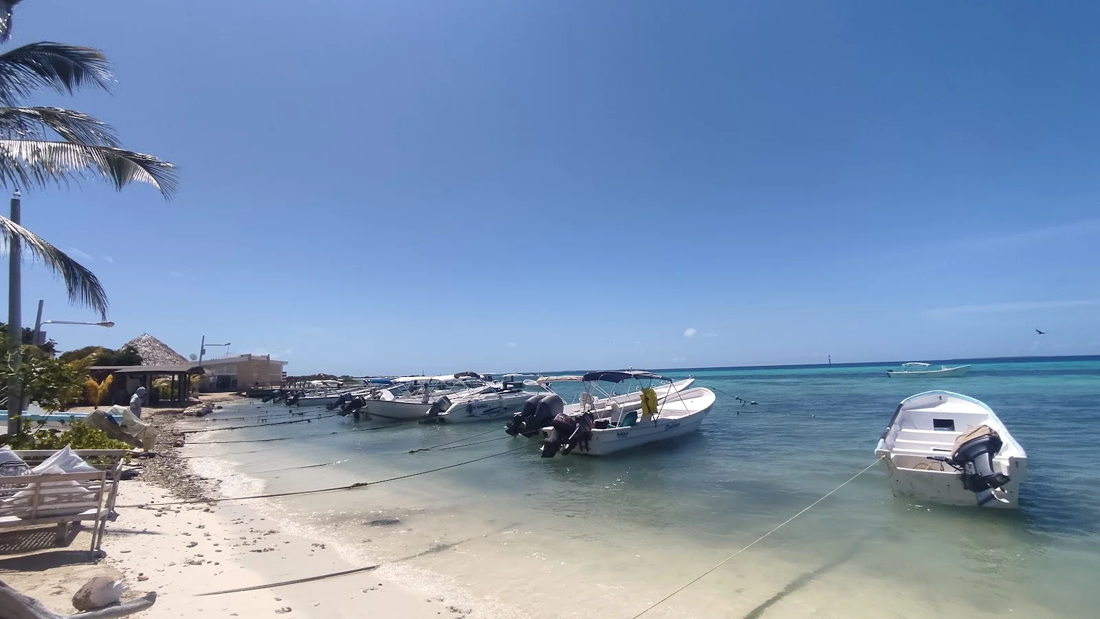 Los Roques
