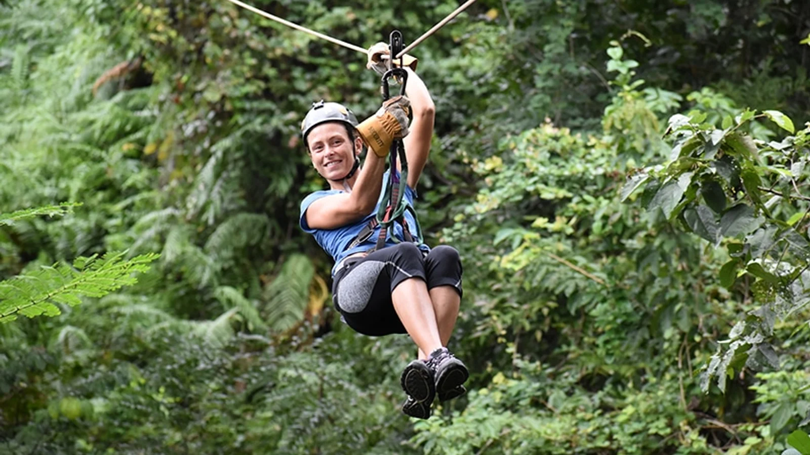 Canopy Mal País