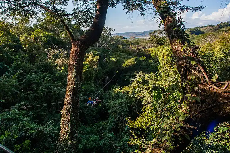 Canopy Mal País