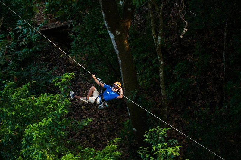 Canopy Mal País