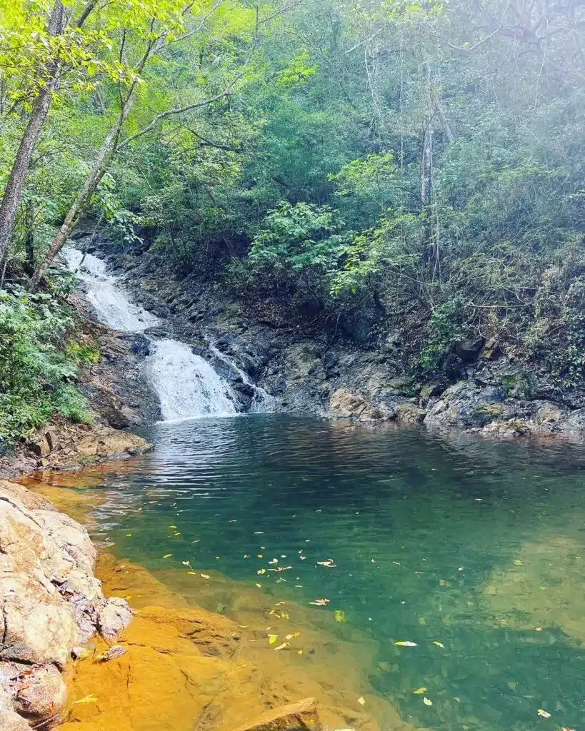 Excursió en quad a Nosara: ruta èpica per la selva fins a la cascada de Pilas Blancas