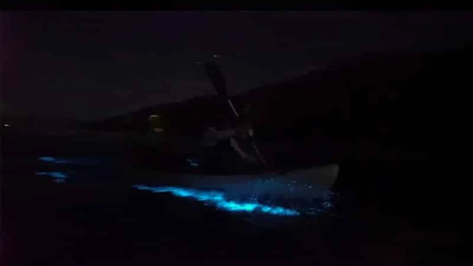 Bioluminescence Kayak Tour