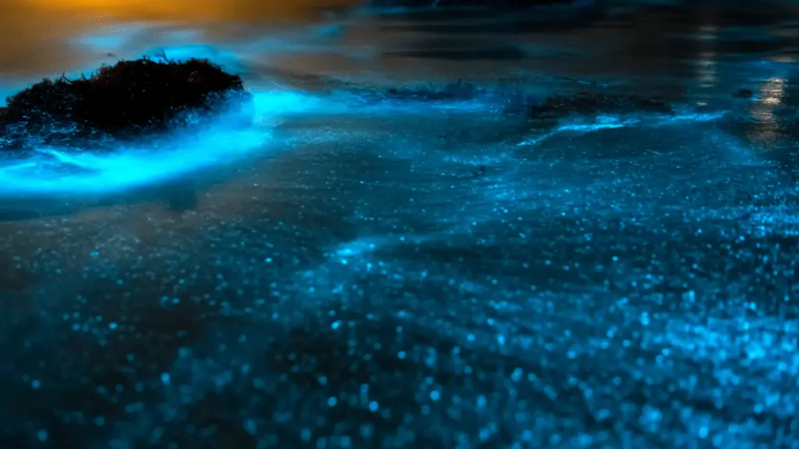 Glowing blue bioluminescent waves wash over dark rocks and sand at night on the shore