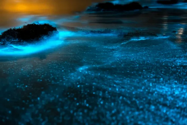 Glowing blue bioluminescent waves wash over dark rocks and sand at night on the shore