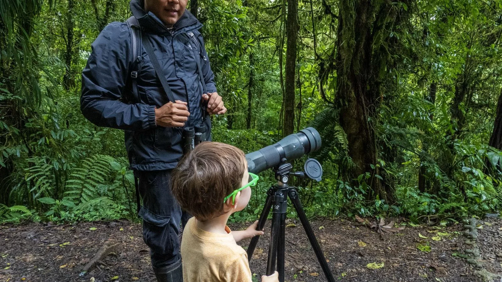 Excursió d'observació d'ocells al bosc nebulós
