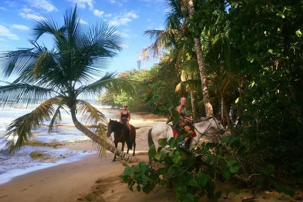 Paseo a caballo por la playa y la selva