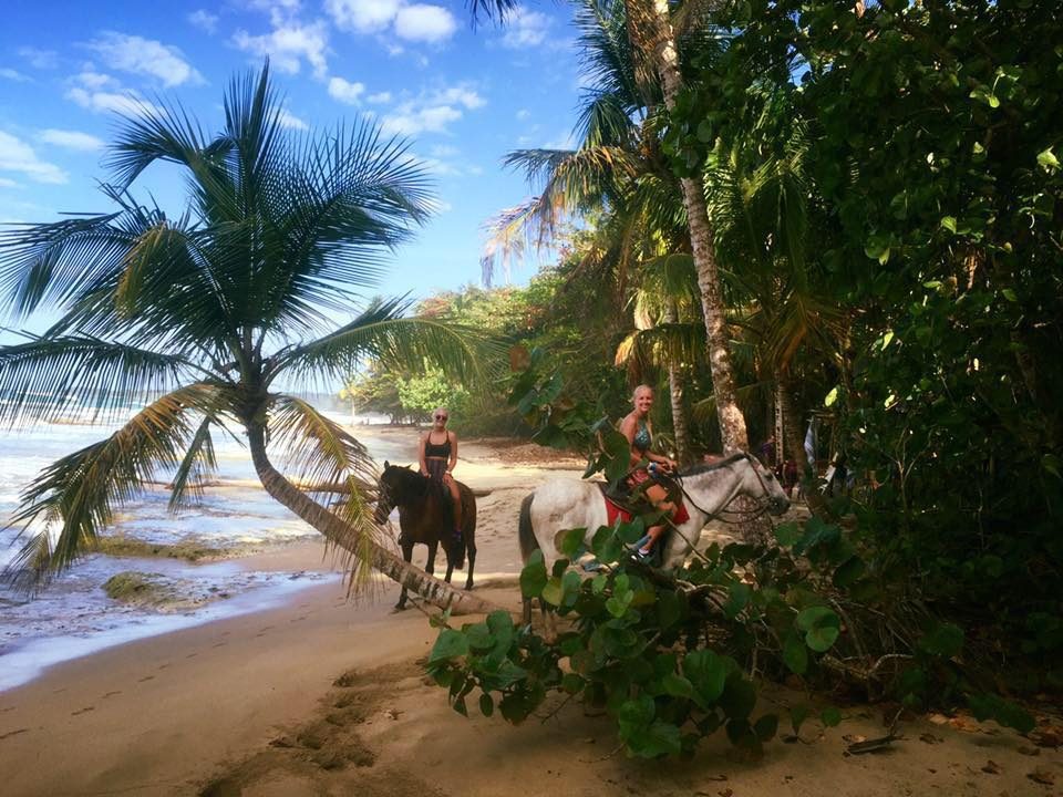 Excursió a cavall per la platja i la jungla