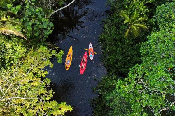 Tour de selva y kayak en el río para ver perezosos