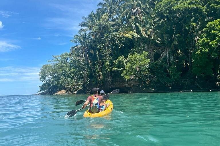 Excursió per la selva i en caiac pel riu per veure peresosos