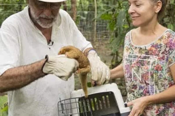 Jaguar Rescue Center: tour público
