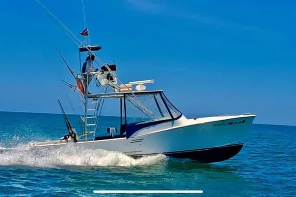 Descubre la emoción de la pesca deportiva