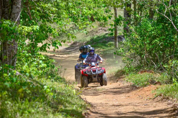 Tour en cuatrimoto de 2 horas