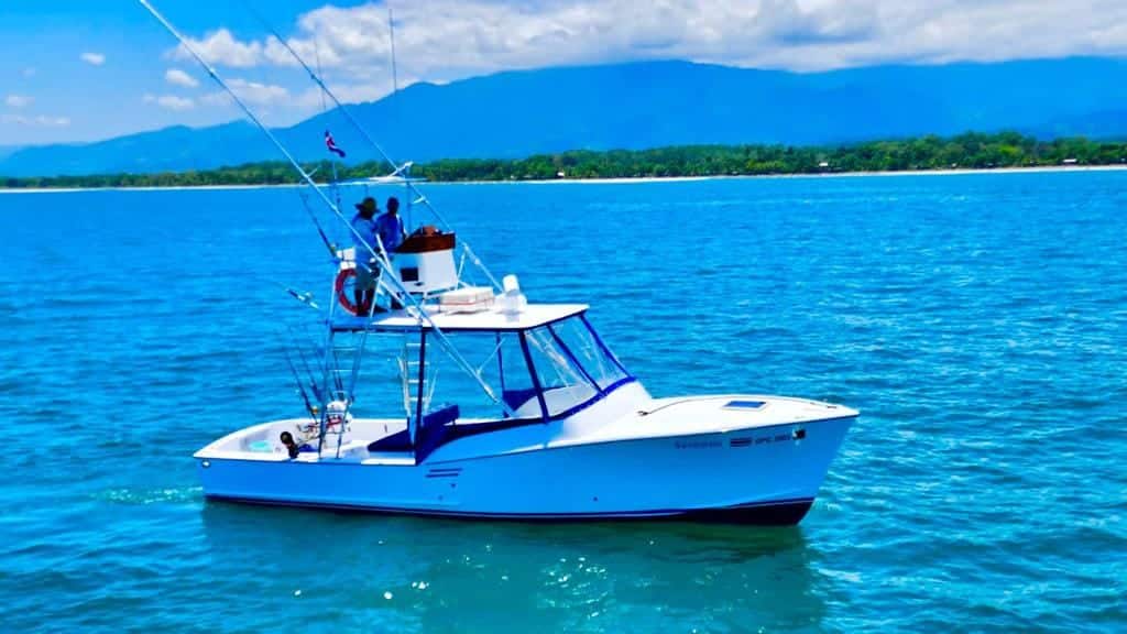 Descobreix l'emoció de la pesca esportiva