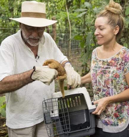 Jaguar Rescue Center: excursió privada