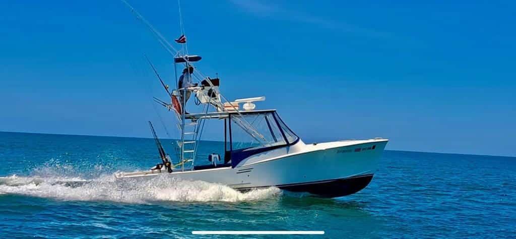 Descobreix l'emoció de la pesca esportiva