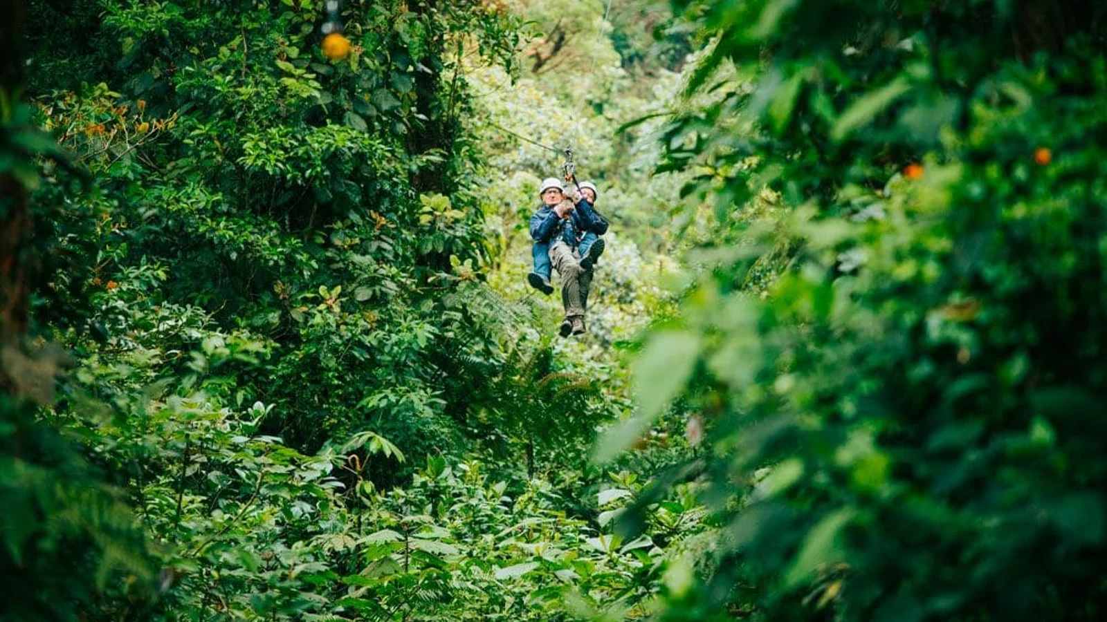 Excursió en tirolina pel dosser de Monteverde