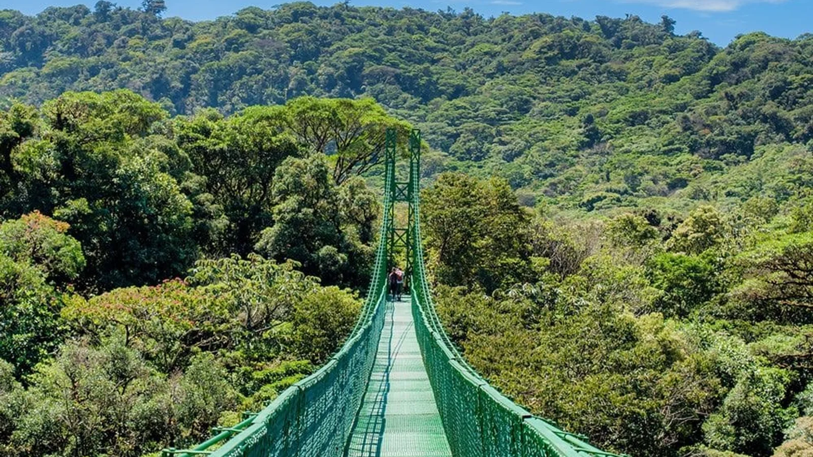 Ponts penjants al bosc nebulós de Monteverde