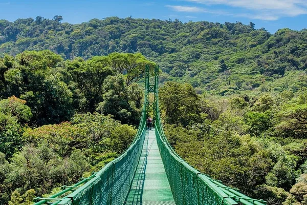 Puentes colgantes en el bosque nuboso de Monteverde