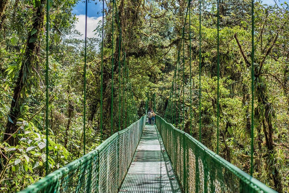Ponts penjants al bosc nebulós de Monteverde