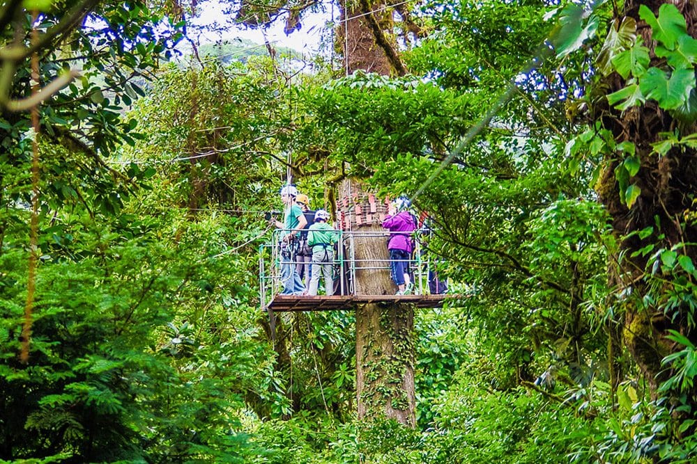 Excursió en tirolina pel dosser de Monteverde