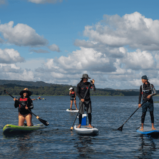 Paddle surf o caiac