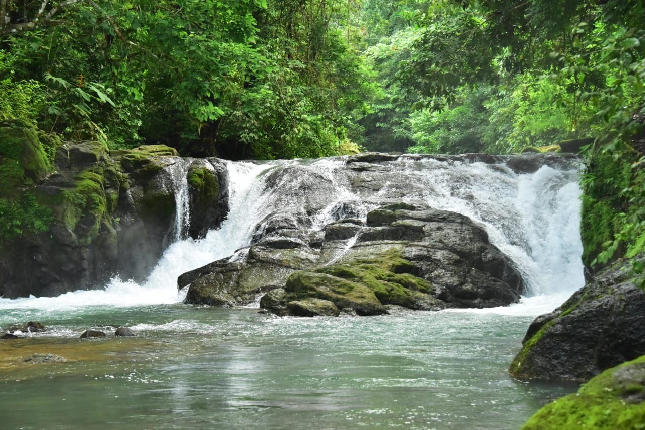 Excursió de dia complet a les cascades tropicals