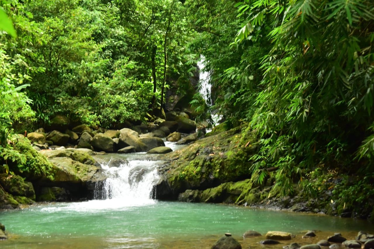 Excursió de dia complet a les cascades tropicals