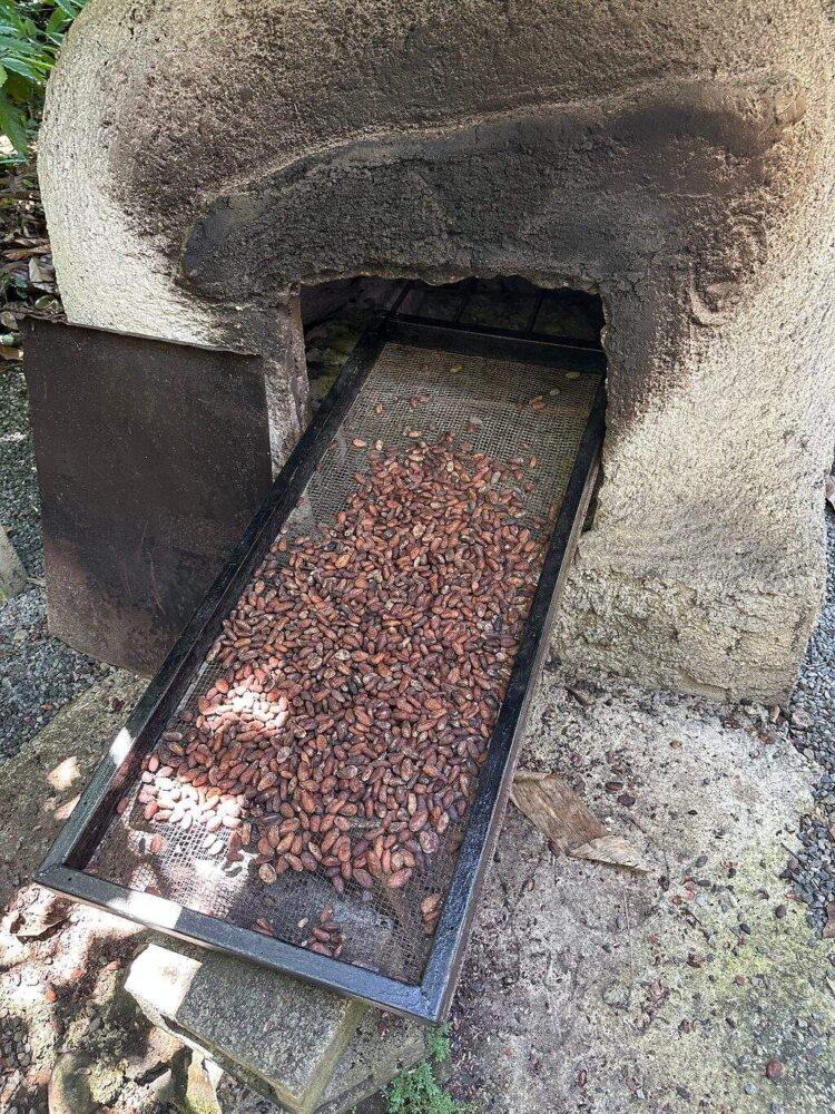 Tour de chocolate en Arenal