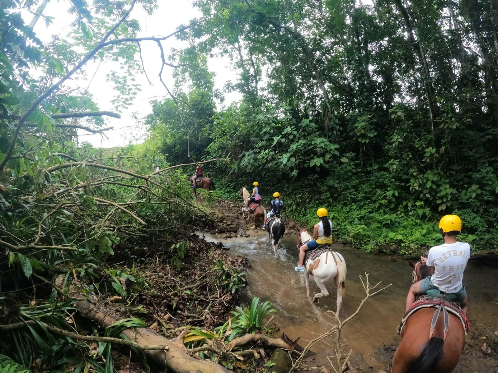 Paseo a caballo a la catarata de La Fortuna