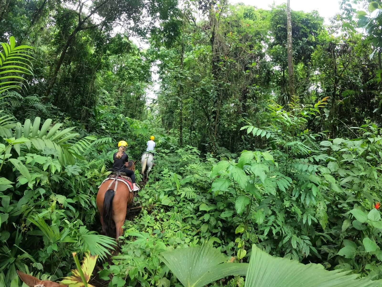 Paseo a caballo a la catarata de La Fortuna