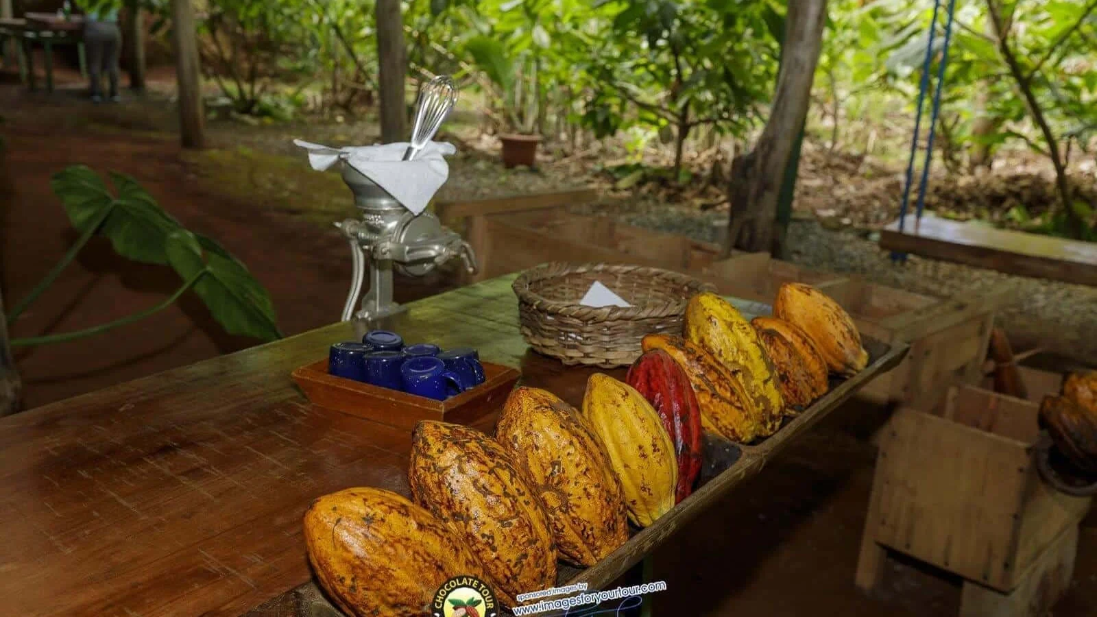Excursió de xocolata a Manuel Antonio: experiència autèntica de cacau i cafè