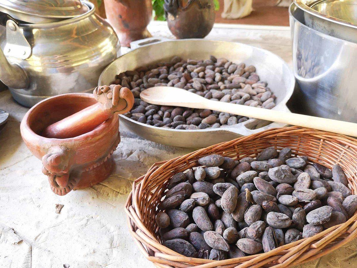 Excursió de xocolata a Manuel Antonio: experiència autèntica de cacau i cafè