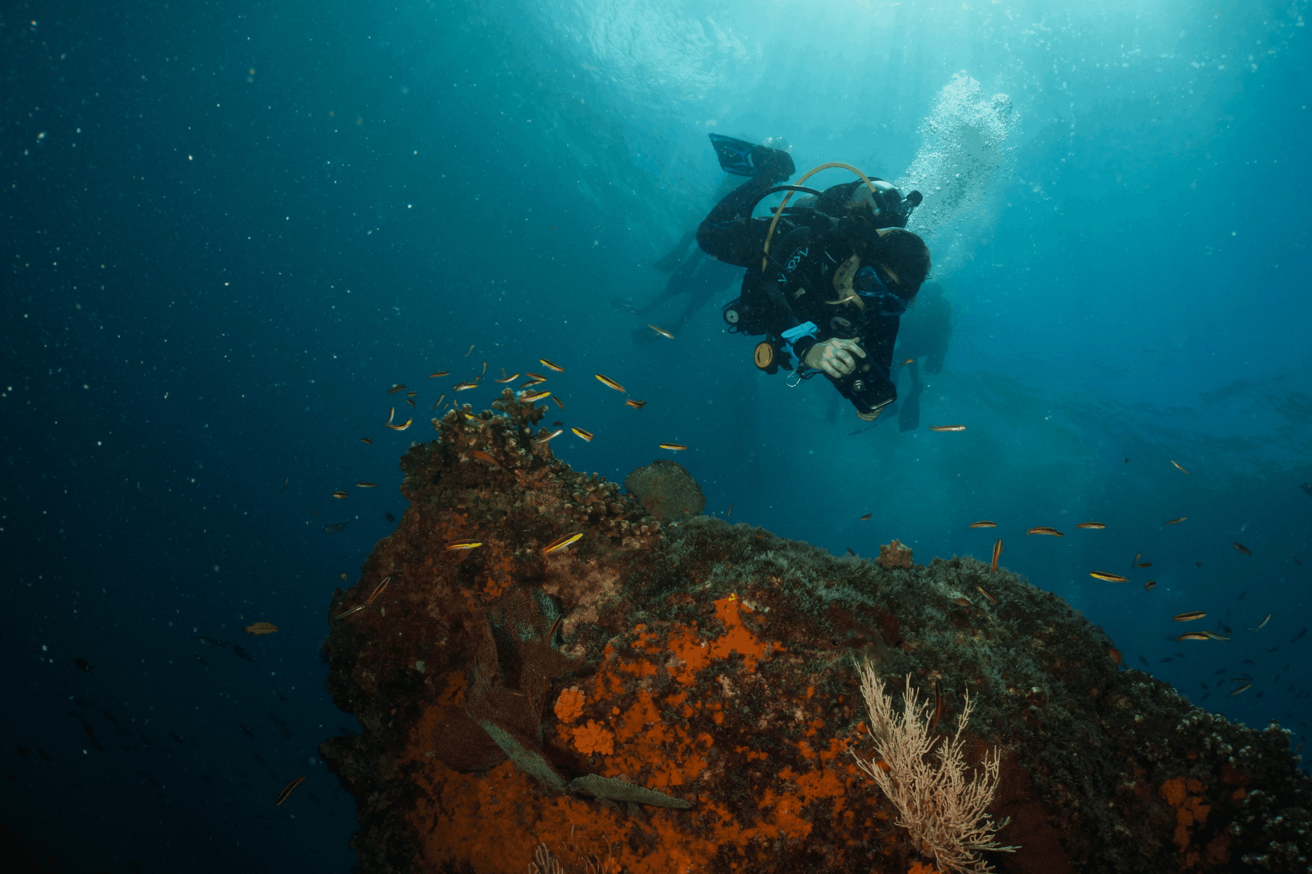 Snorkel a Isla del Caño