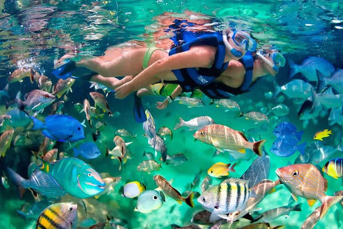 Snorkel a Isla del Caño