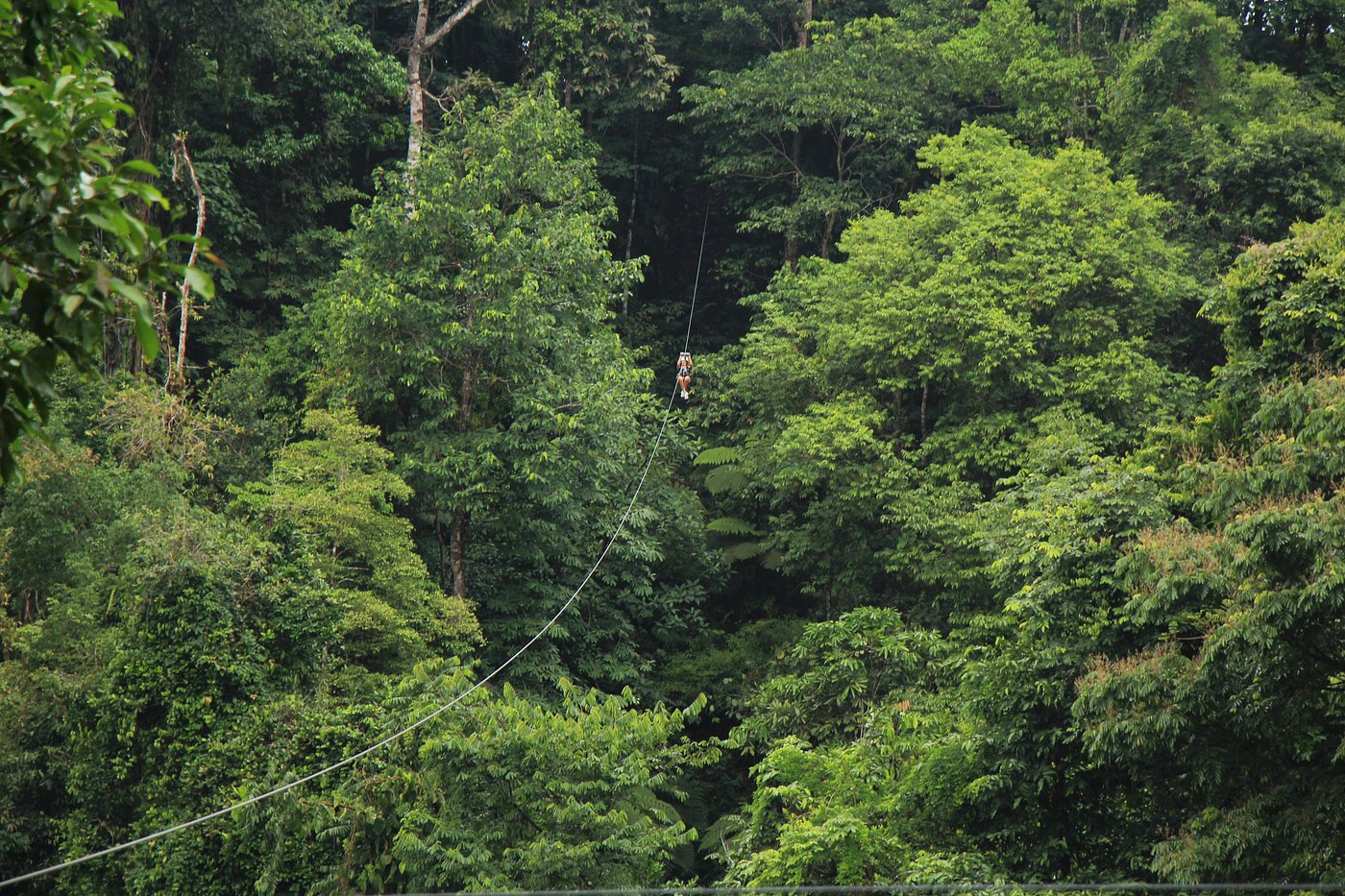 Parque de aventura 10 en 1