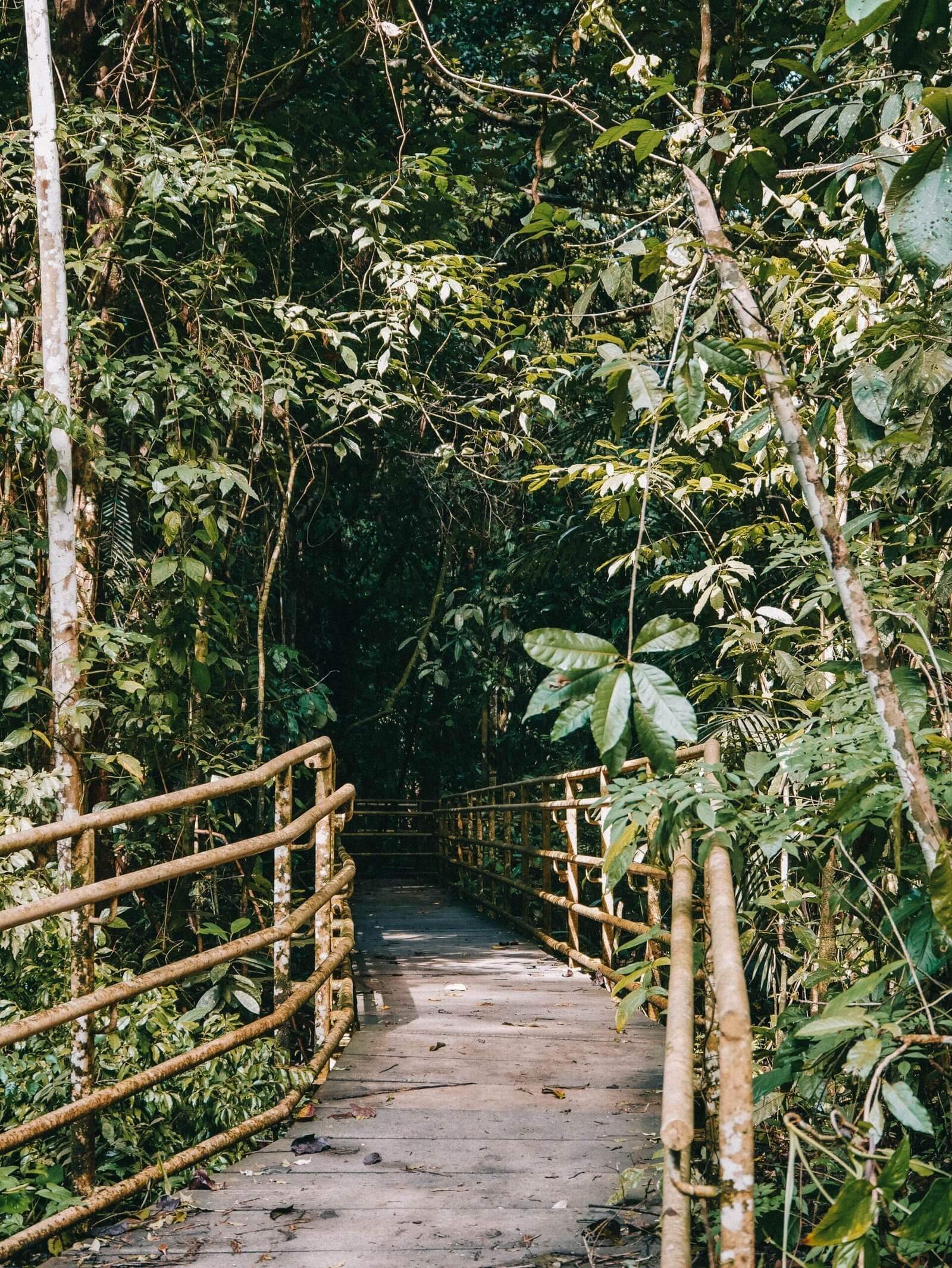 Excursió al Parc Nacional Manuel Antonio