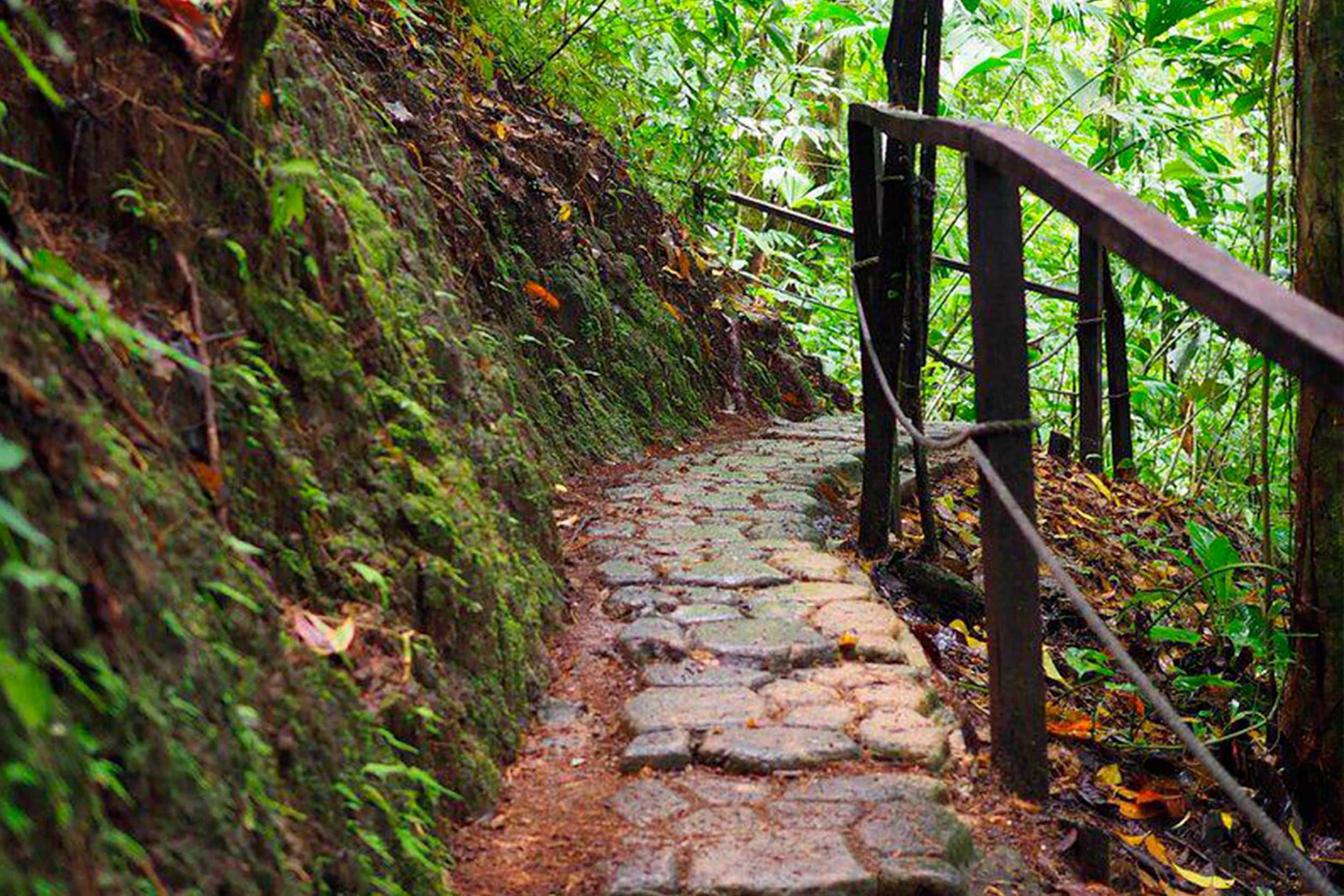 Excursió a Rainmaker Park