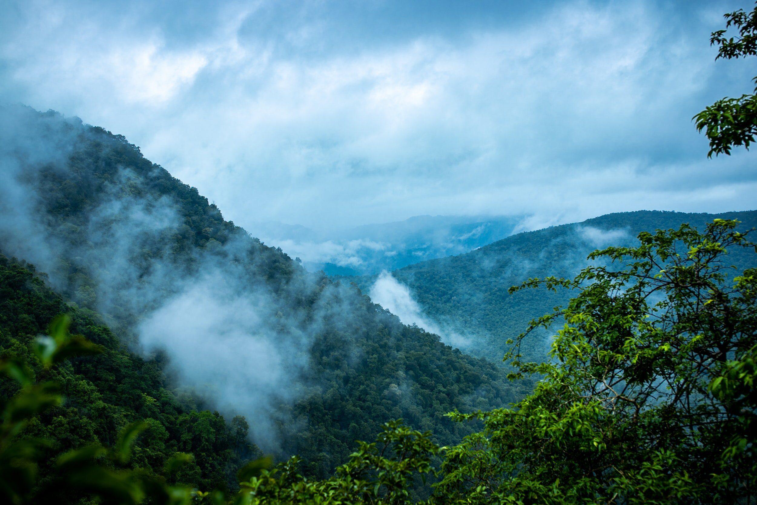 Excursió a Rainmaker Park