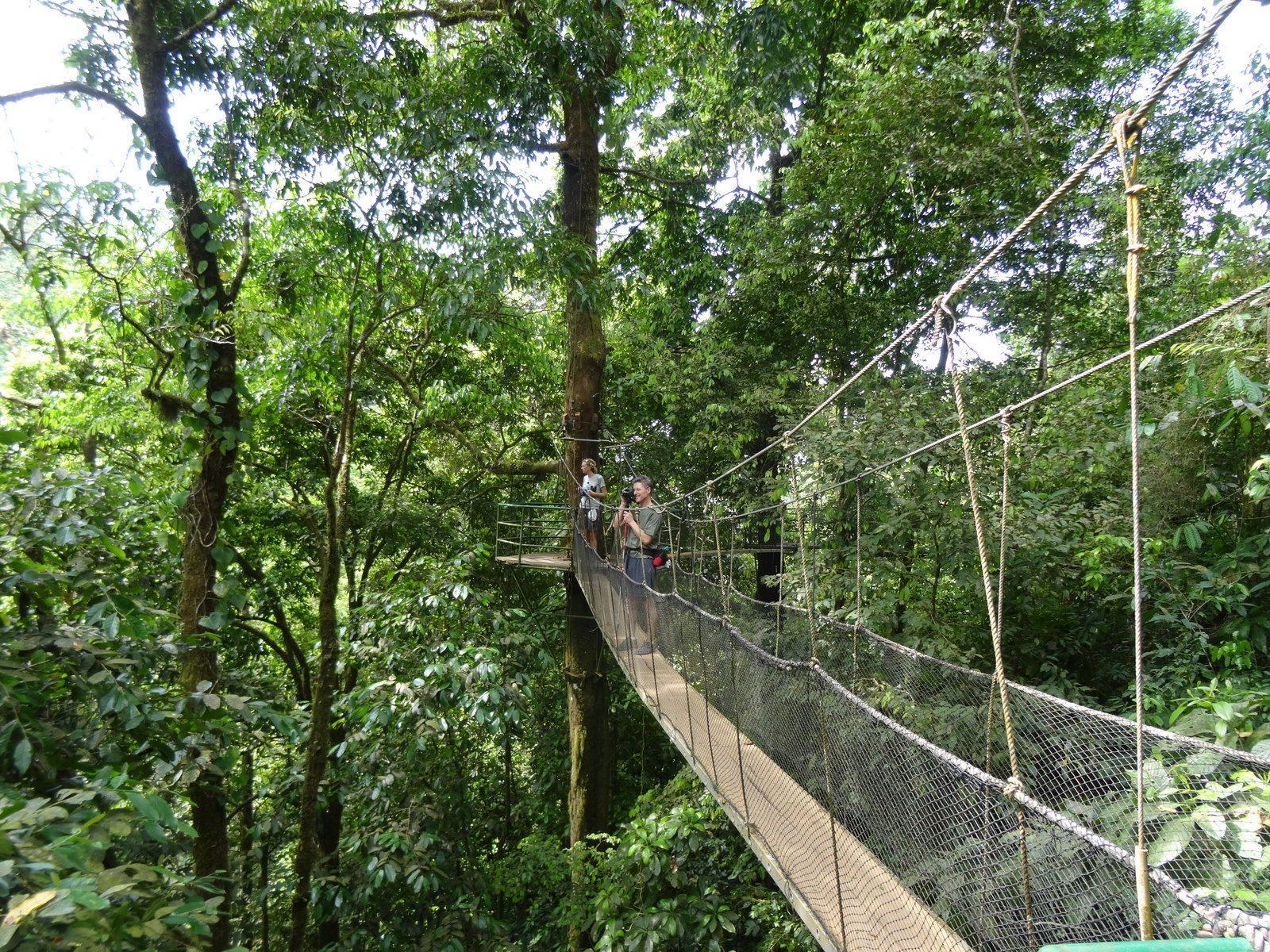 Excursió a Rainmaker Park