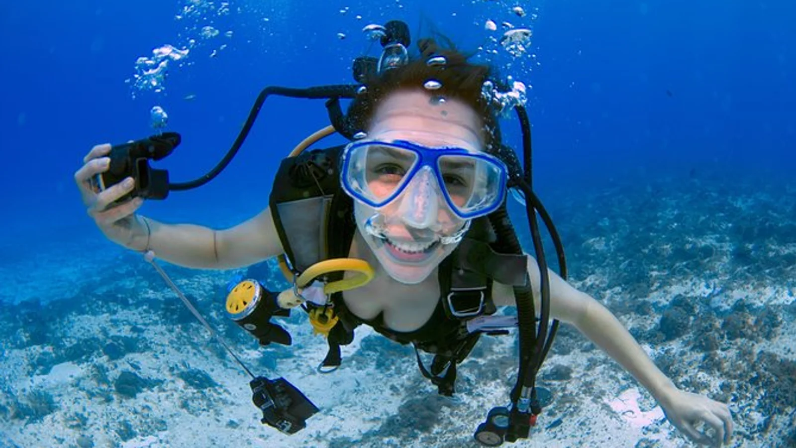 Buceo en la isla del Caño: excursión de 2 tanques