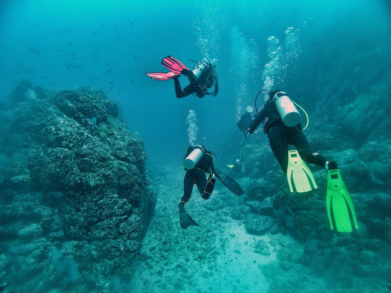 Buceo en la isla del Caño: excursión de 2 tanques