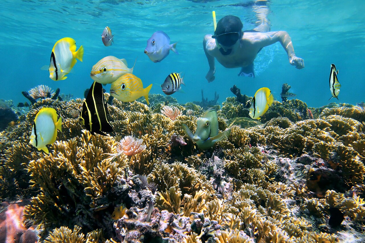 Snorkel a l'illa del Caño