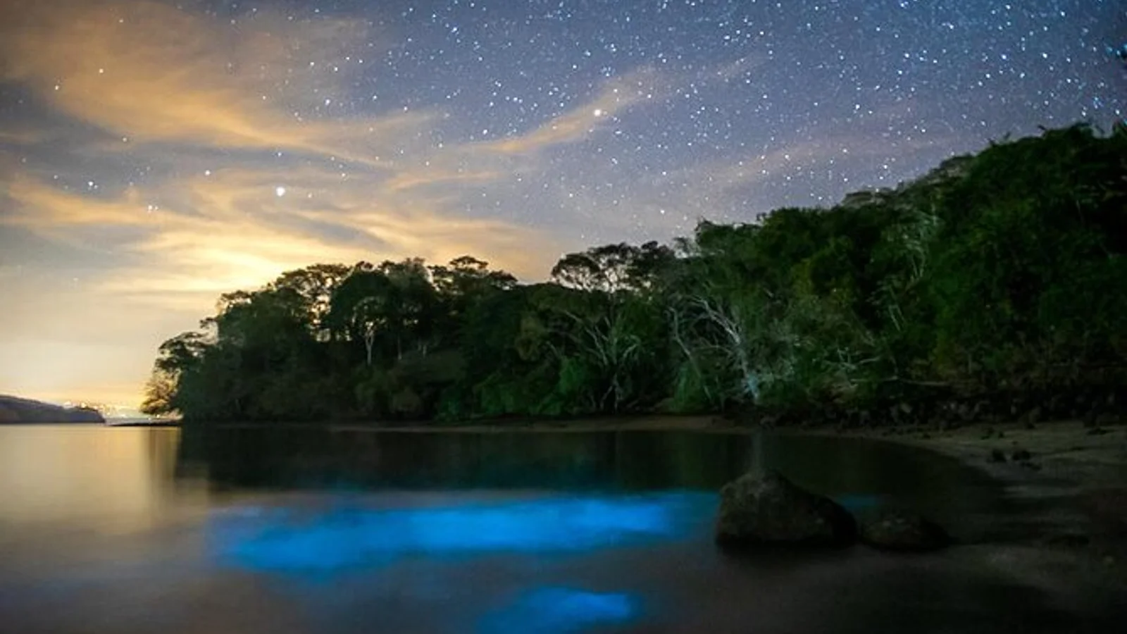 Caiac amb bioluminescència