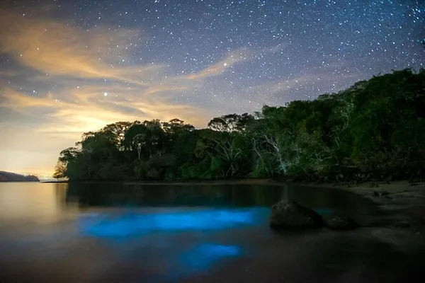 Kayak con bioluminiscencia