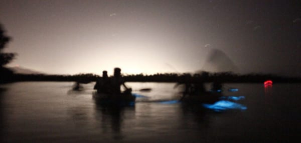 Caiac amb bioluminescència