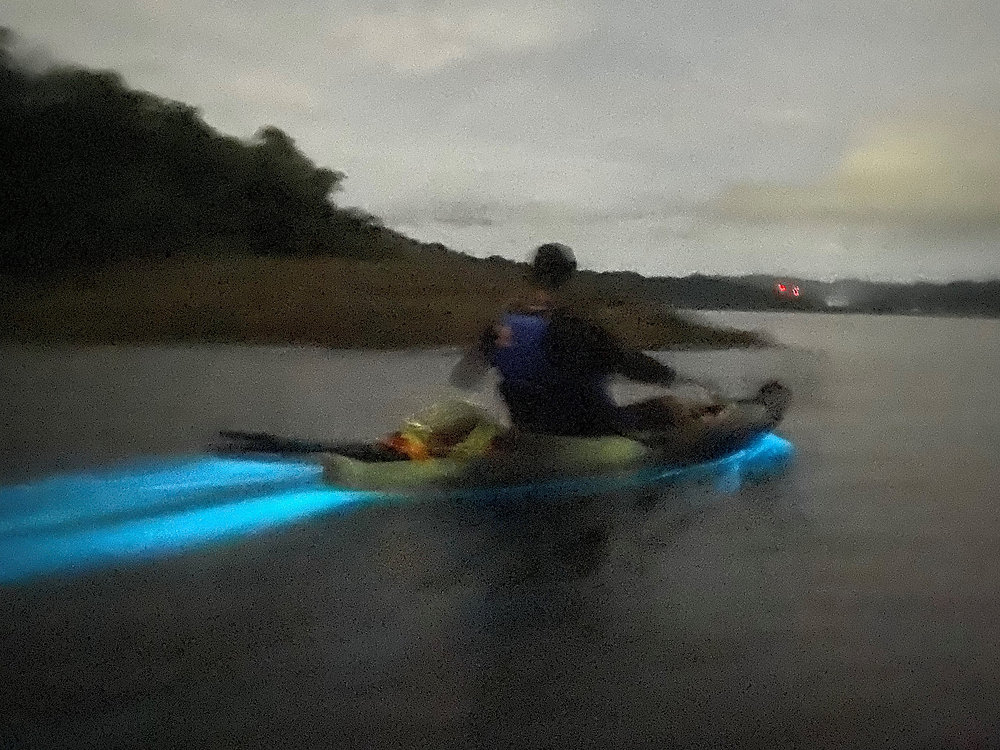 Caiac amb bioluminescència