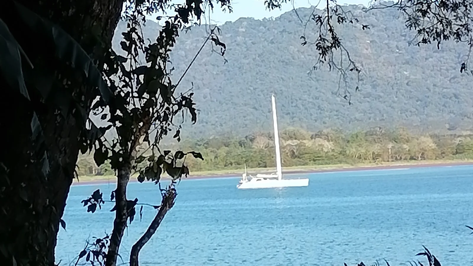 Tambor