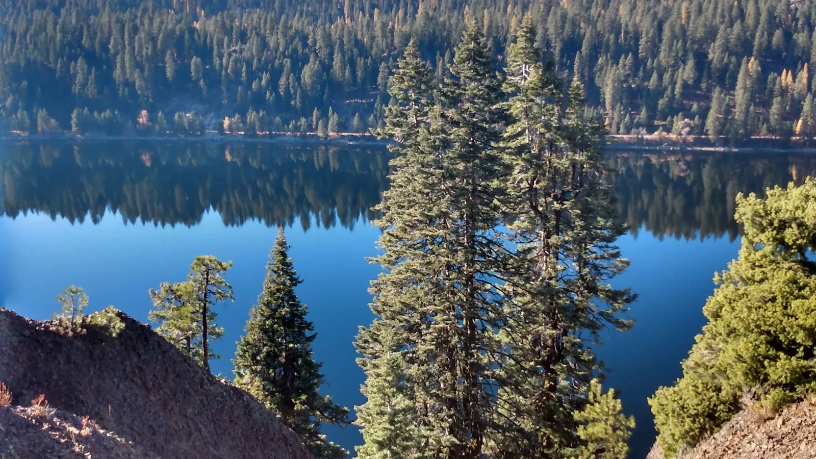 McCall