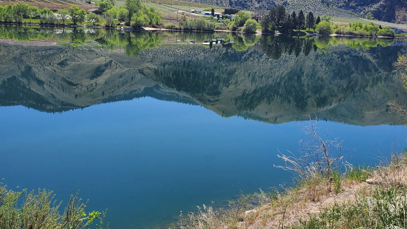 Chelan