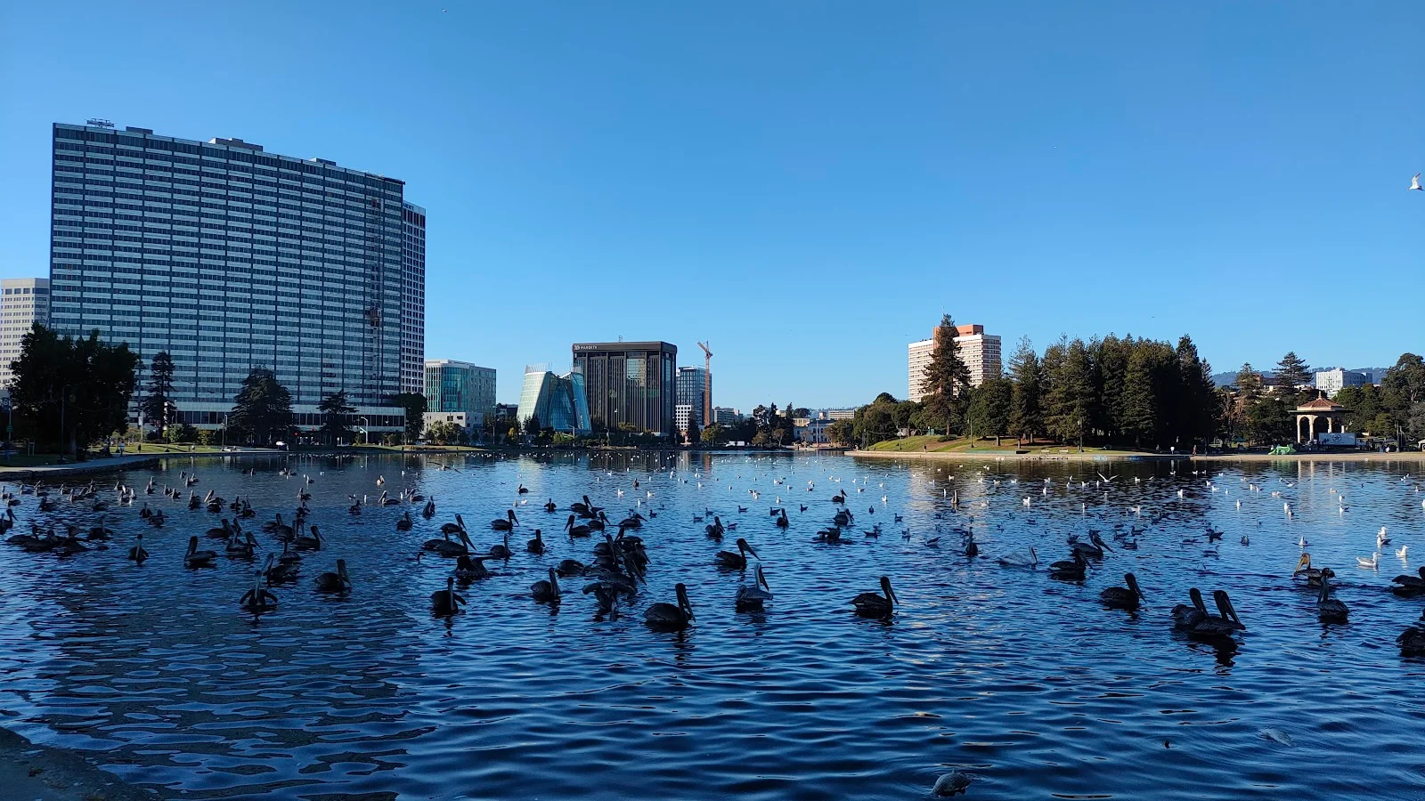 Oakland
